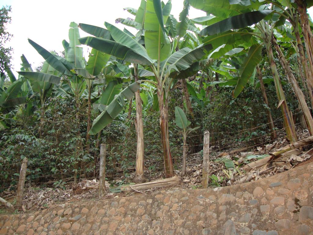 Lote En Venta - La Cumbre, La Cumbre