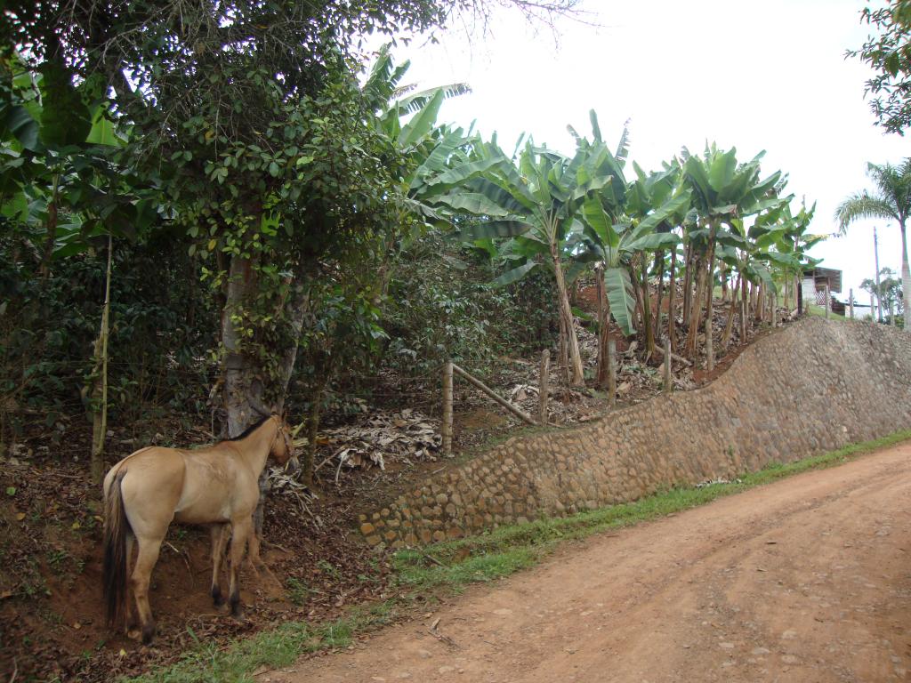 Lote En Venta - La Cumbre, La Cumbre