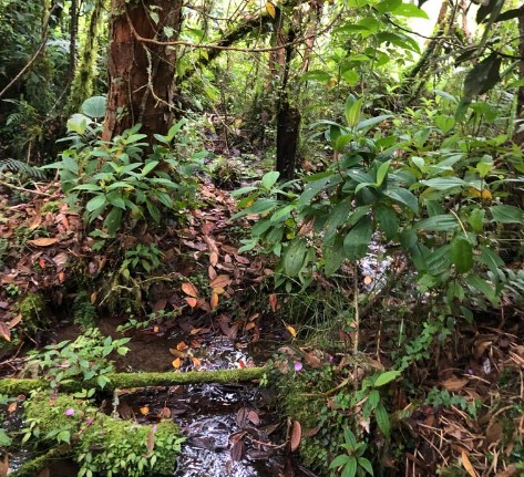 Finca En Venta - Puerto Frazadas, Tuluá