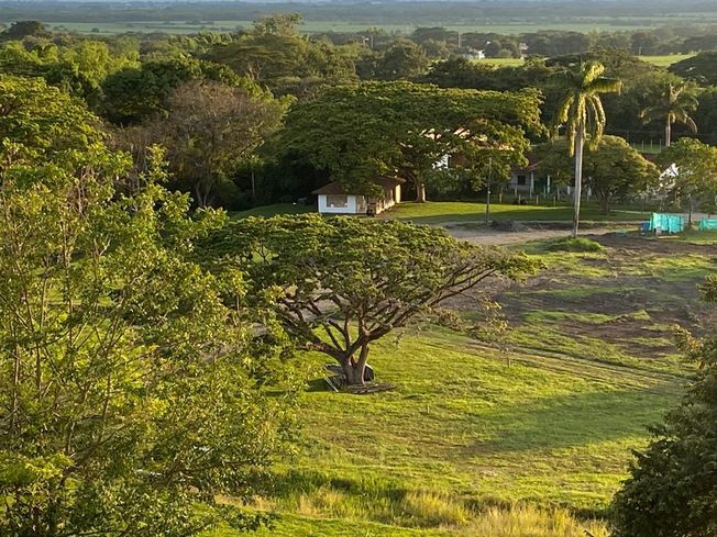 Lote En Venta - Parcelación Y Condominio Campestre Cerro Dulce, Andalucía