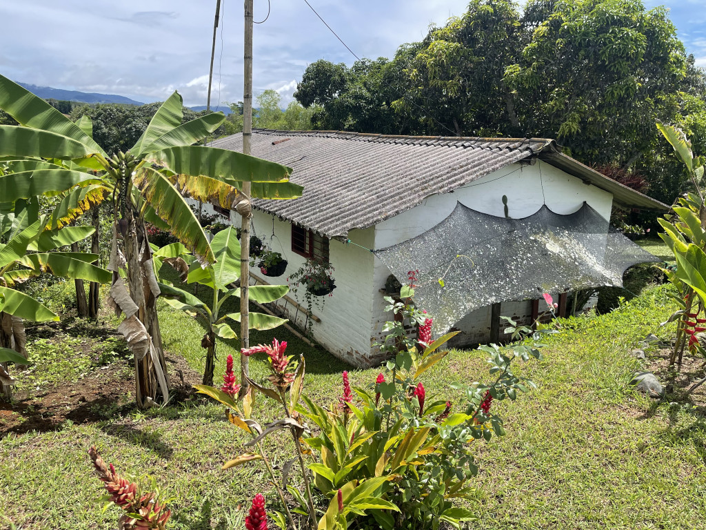 Finca En Venta - Dagua / Borrero Ayerbe, El Carmen