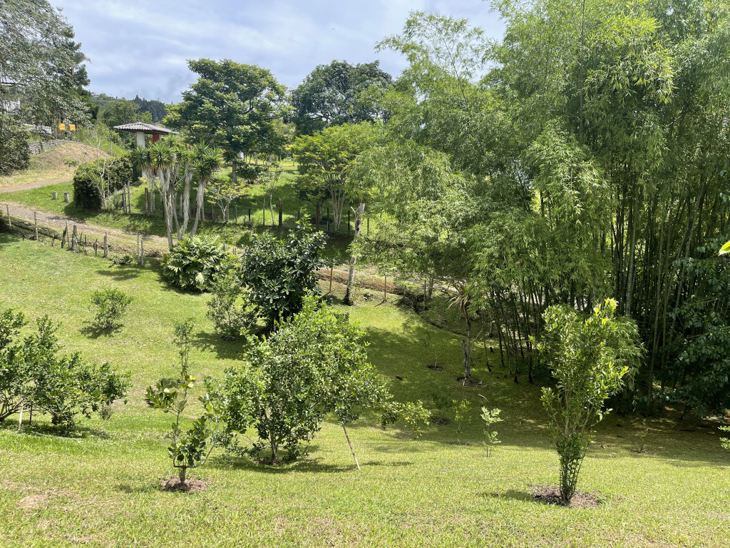 Finca En Venta - Dagua / Borrero Ayerbe, El Carmen