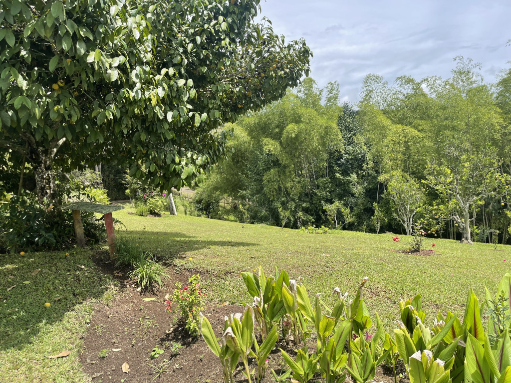 Finca En Venta - Dagua / Borrero Ayerbe, El Carmen