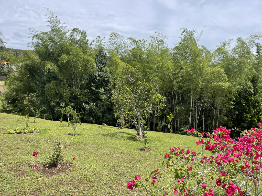 Finca En Venta - Dagua / Borrero Ayerbe, El Carmen