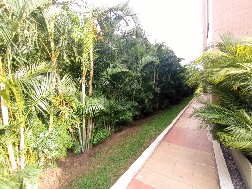 Apartamento En Arriendo/Venta - Normandia, Cali