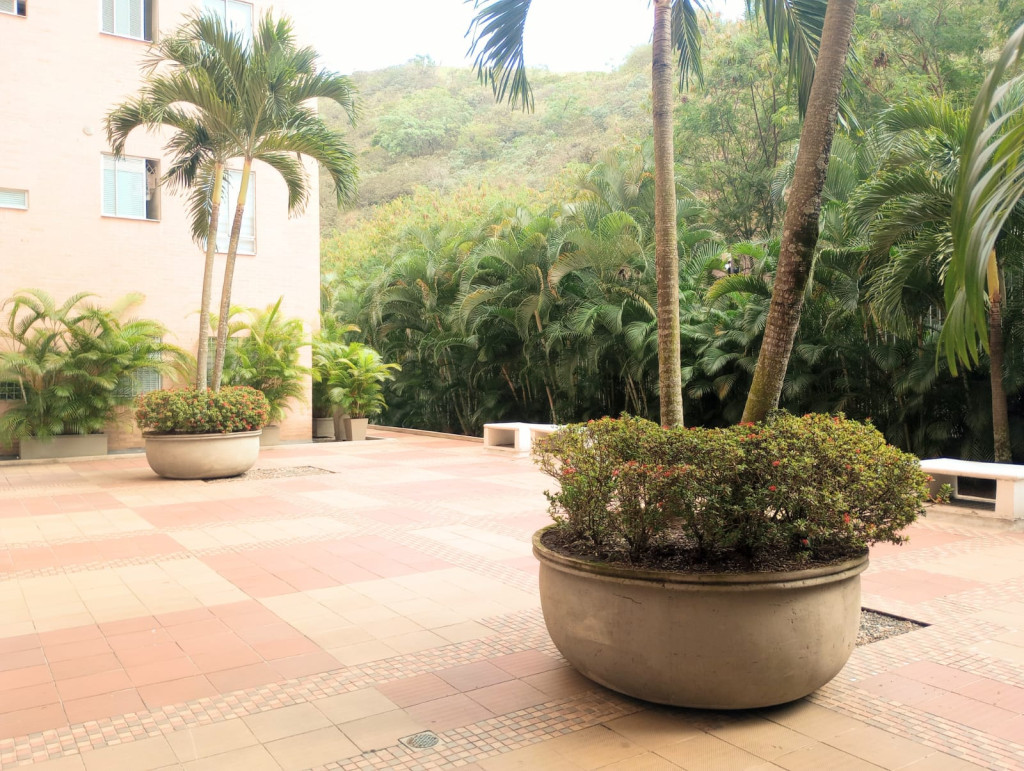 Apartamento En Arriendo/Venta - Normandia, Cali
