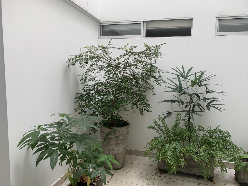 Apartamento En Arriendo - La Arboleda, Cali