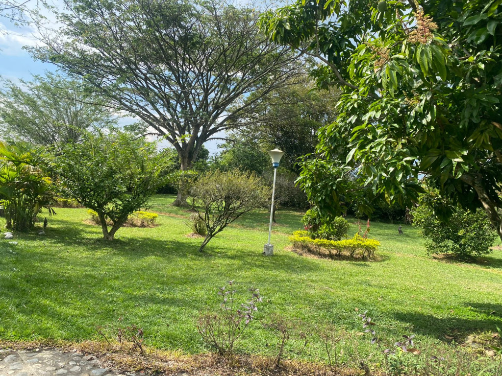 Finca En Venta - Corregimiento De Santa Elena, El Cerrito