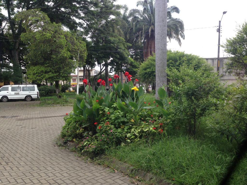 Casas Con Local En Venta - Centra Comuna 6, Palmira