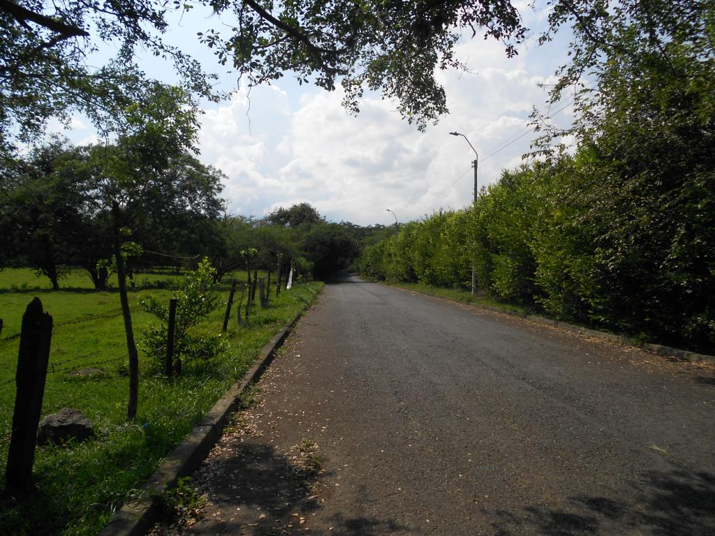 Lote EN VENTA EN Pance, código: 1058100 - 1