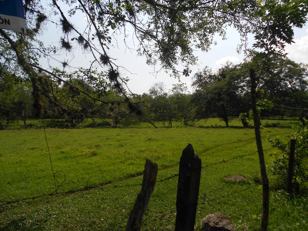 Lote EN VENTA EN Pance, código: 1058100 - 2