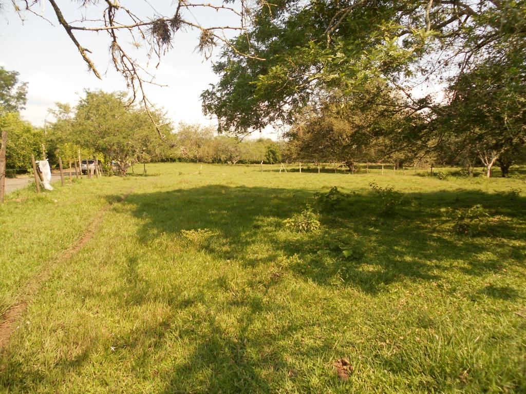 Lote EN VENTA EN Pance, código: 1058100 - 4