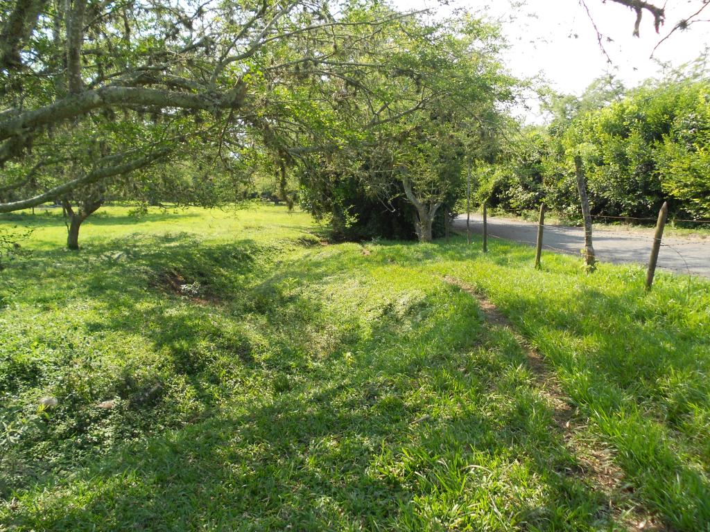 Lote EN VENTA EN Pance, código: 1058100 - 6