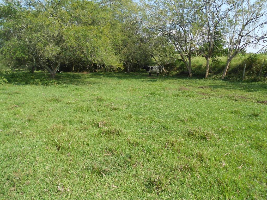 Lote EN VENTA EN Pance, código: 1058100 - 8