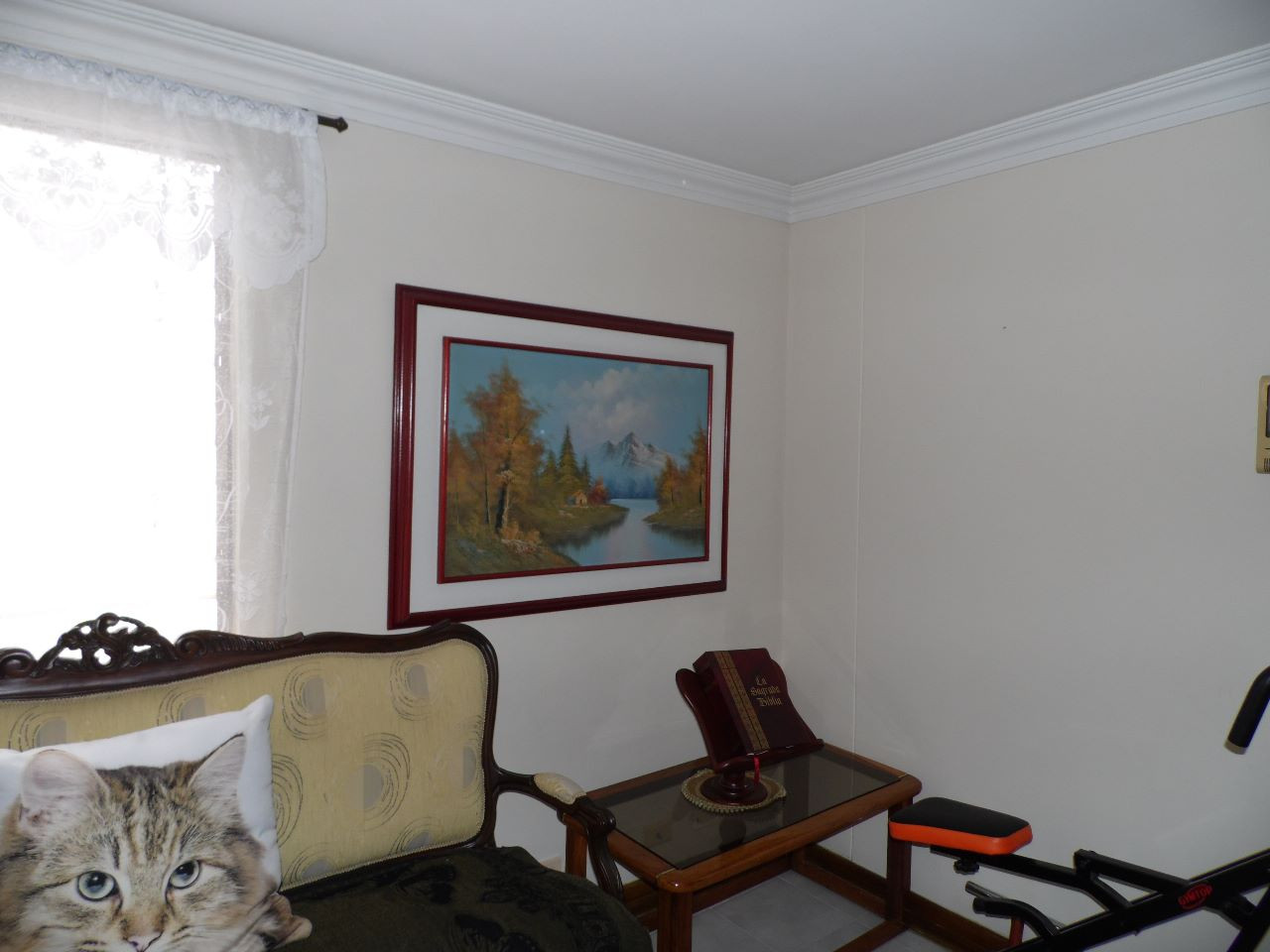 Apartamento EN VENTA EN Velódromo, código: 10296943 - 18