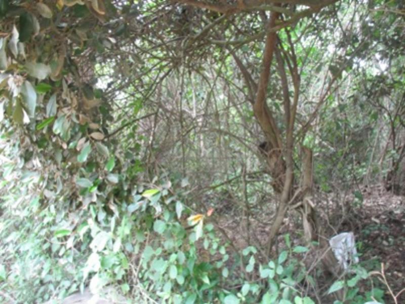 Lote EN VENTA EN Sin Barrio, código: 101237 - 2
