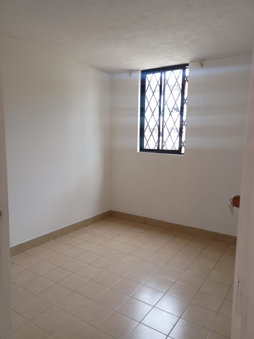 Apartamento EN ARRIENDO EN Los Alcázares, código: 10194888 - 11