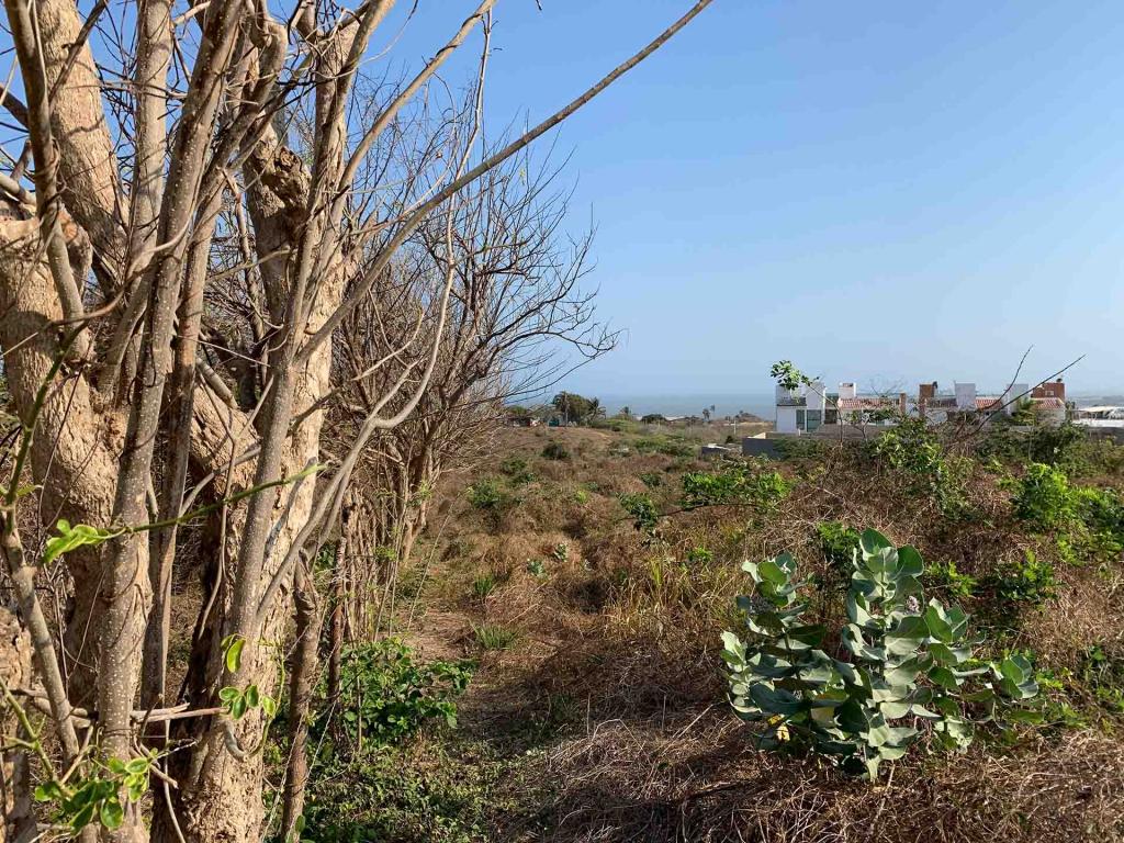 Lote EN VENTA EN Sin Barrio, código: 1061027 - 4