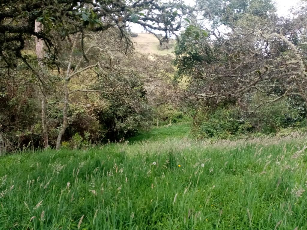 Finca EN VENTA EN ., código: 1061995 - 2