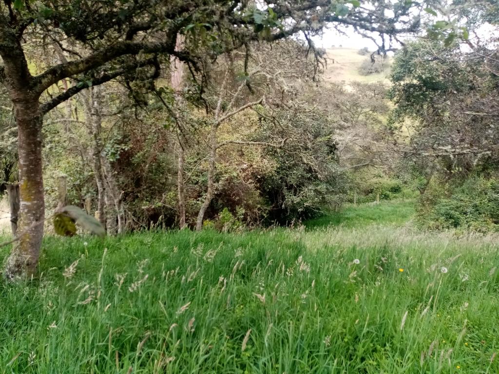 Finca EN VENTA EN ., código: 1061995 - 3