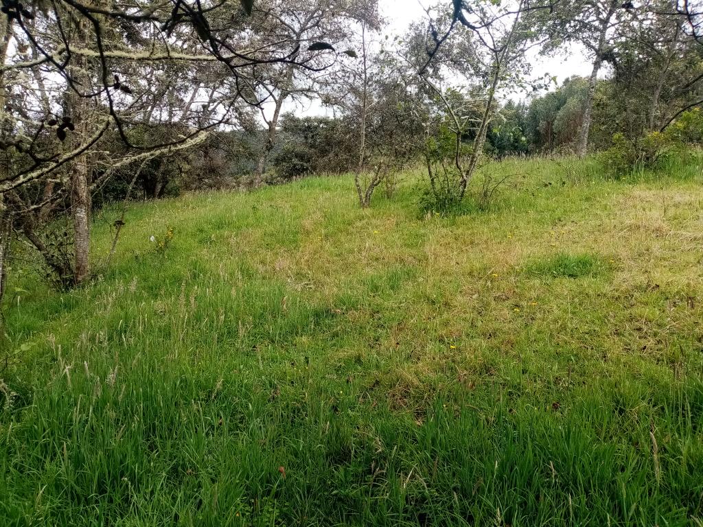 Finca EN VENTA EN ., código: 1061995 - 4