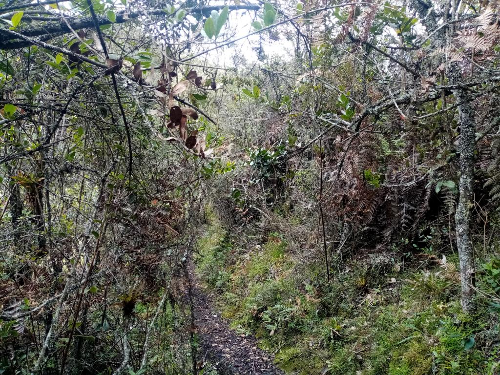 Finca EN VENTA EN ., código: 1061995 - 6