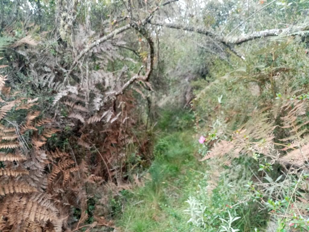 Finca EN VENTA EN ., código: 1061995 - 7