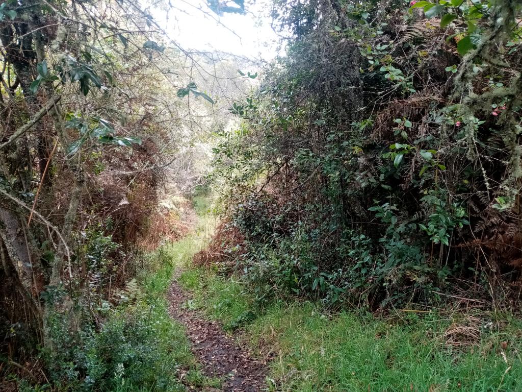 Finca EN VENTA EN ., código: 1061995 - 8
