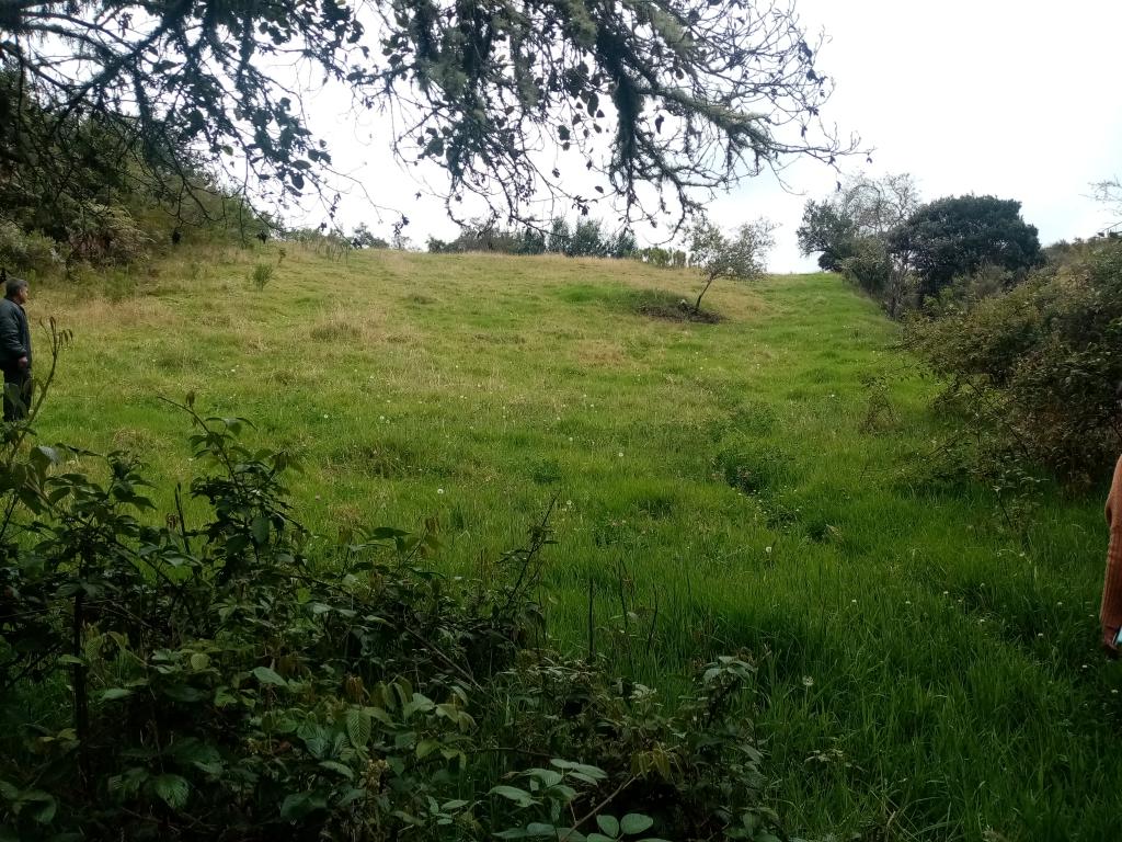 Finca EN VENTA EN ., código: 1061995 - 9