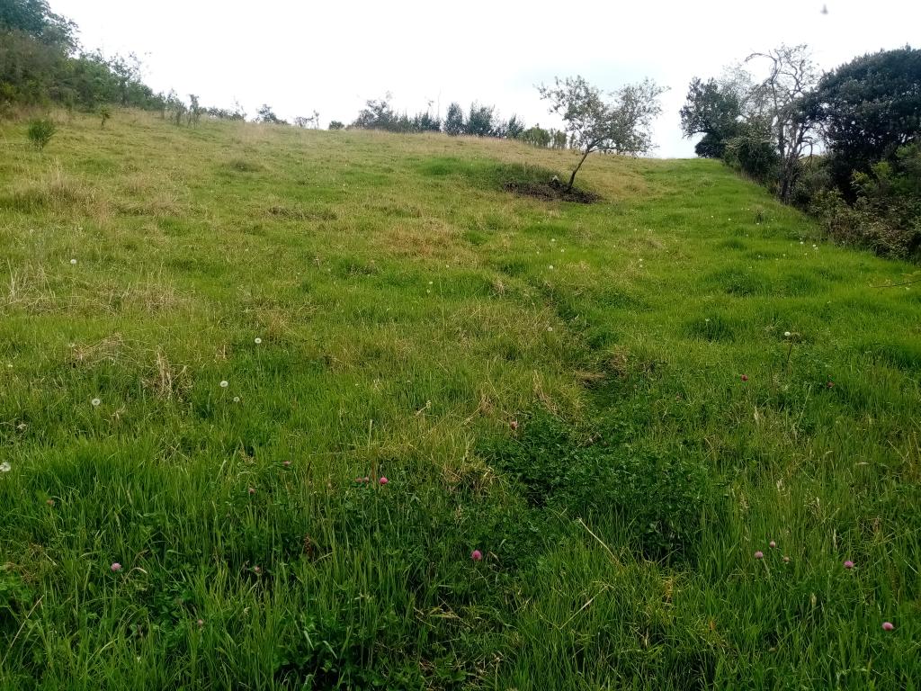 Finca EN VENTA EN ., código: 1061995 - 10