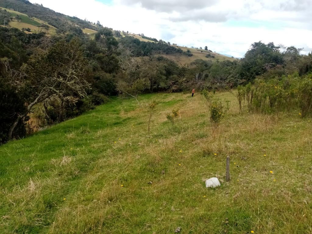 Finca EN VENTA EN ., código: 1061995 - 11