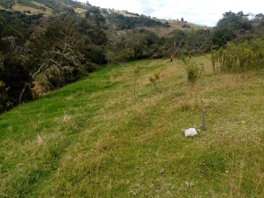 Finca EN VENTA EN ., código: 1061995 - 12