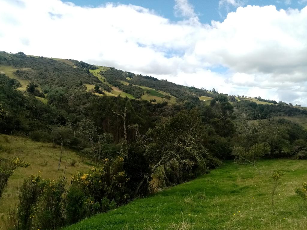 Finca EN VENTA EN ., código: 1061995 - 13