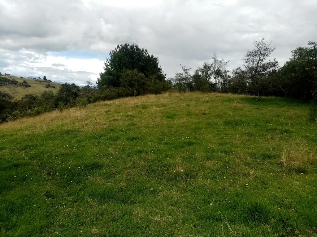 Finca EN VENTA EN ., código: 1061995 - 14