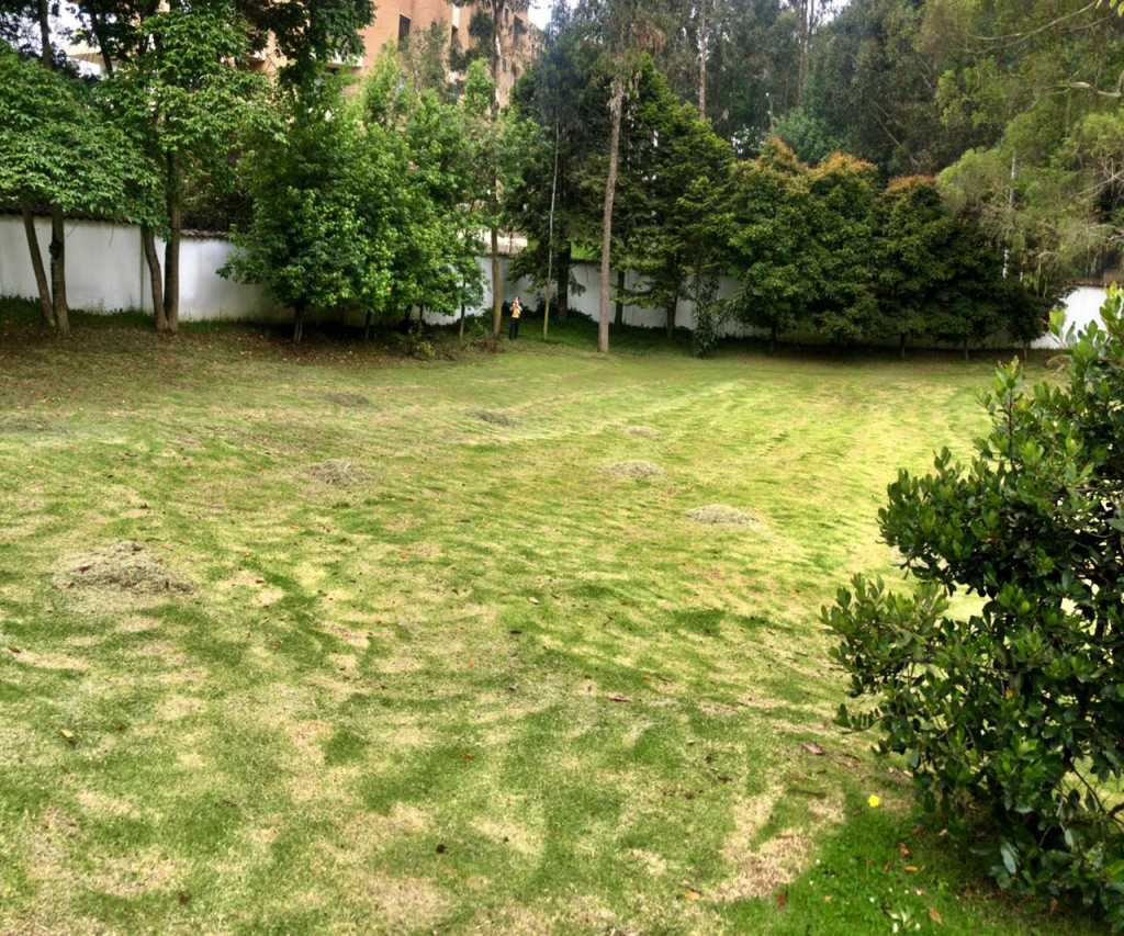 Lote en venta, código 4879