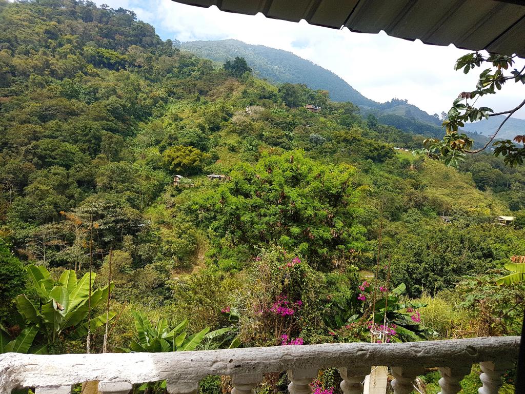 Casa EN VENTA EN ., código: 109666 - 0