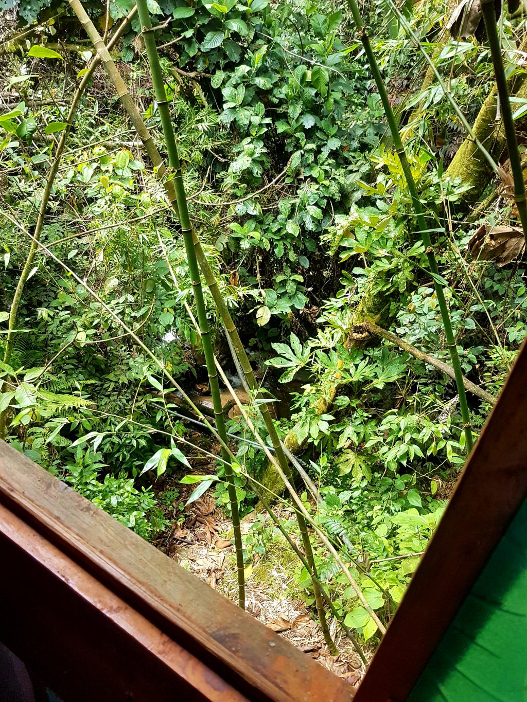 Casa EN VENTA EN ., código: 109666 - 2