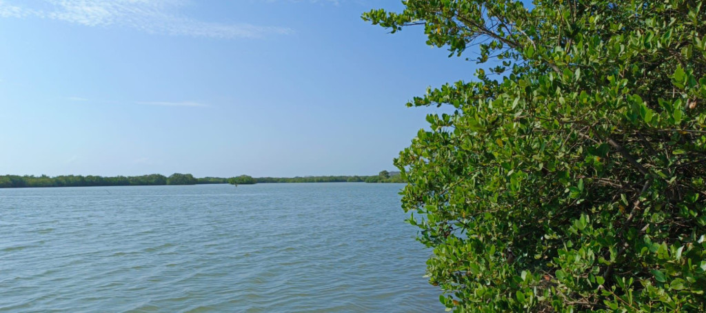 Lote EN VENTA EN Manzanillo del Mar, código: 10285765 - 13