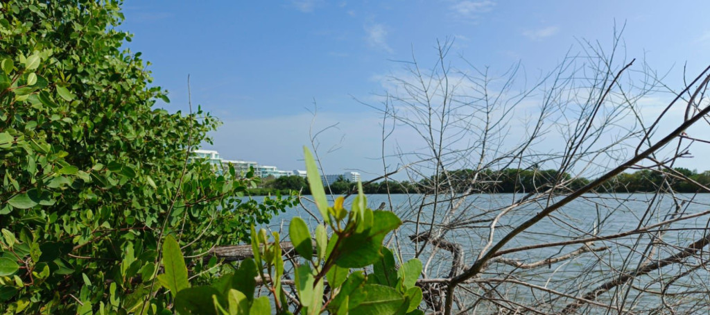 Lote EN VENTA EN Manzanillo del Mar, código: 10285765 - 14