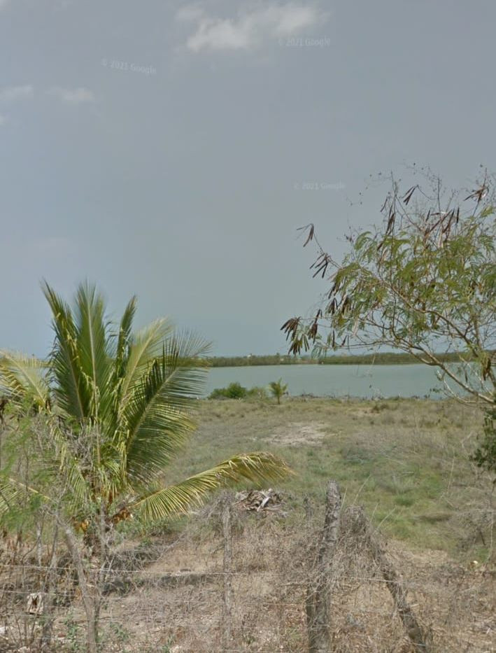 Lote EN VENTA EN Manzanillo del Mar, código: 10285765 - 16