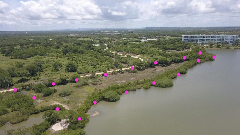 Lote EN VENTA EN Manzanillo del Mar, código: 10285765 - 0