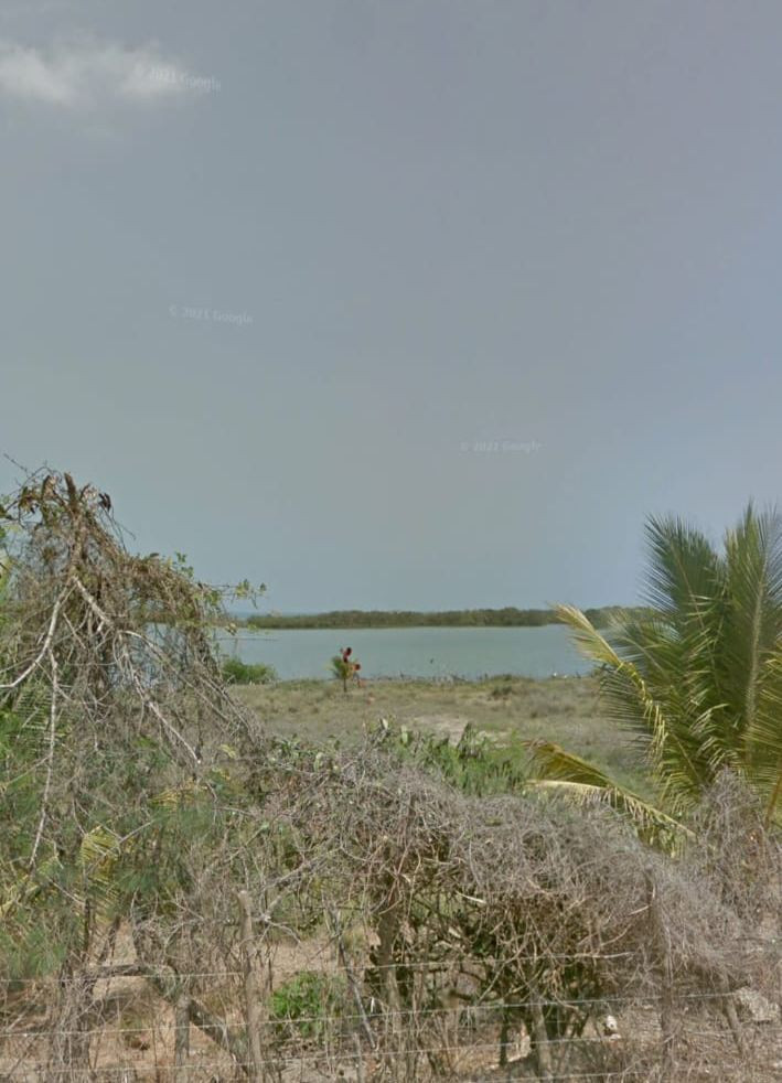 Lote EN VENTA EN Manzanillo del Mar, código: 10285765 - 20