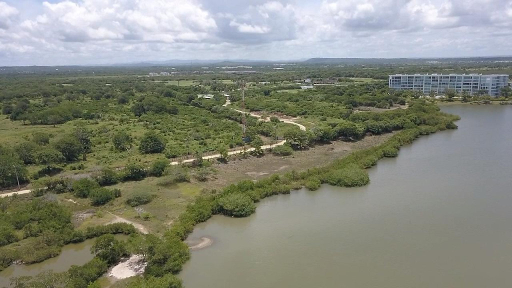 Lote EN VENTA EN Manzanillo del Mar, código: 10285765 - 5