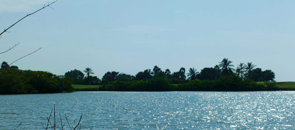 Lote EN VENTA EN Manzanillo del Mar, código: 10285765 - 6