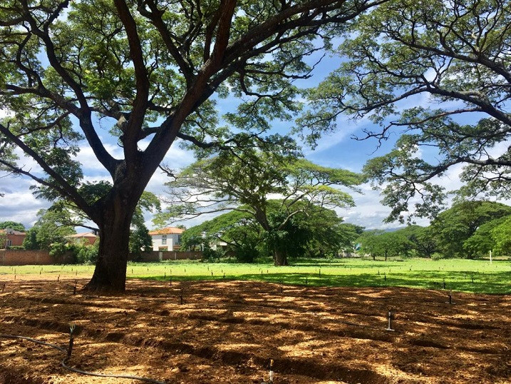 Lote EN VENTA EN Bocono, código: 10284170 - 5