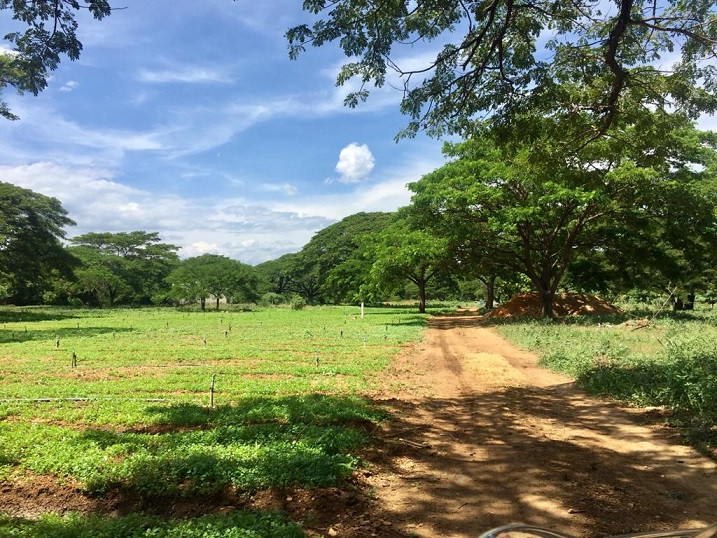 Lote EN VENTA EN Bocono, código: 10284170 - 2