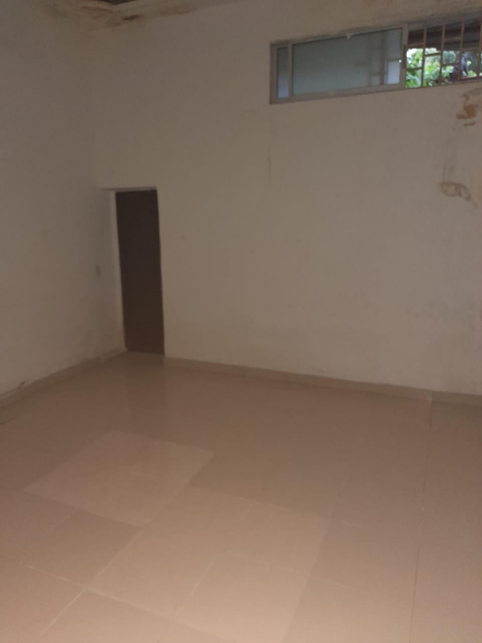 Local EN ARRIENDO EN Latino, código: 10283555 - 1