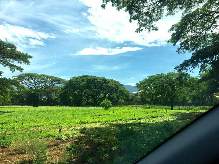 Lote EN VENTA EN Bocono, código: 10284170 - 8