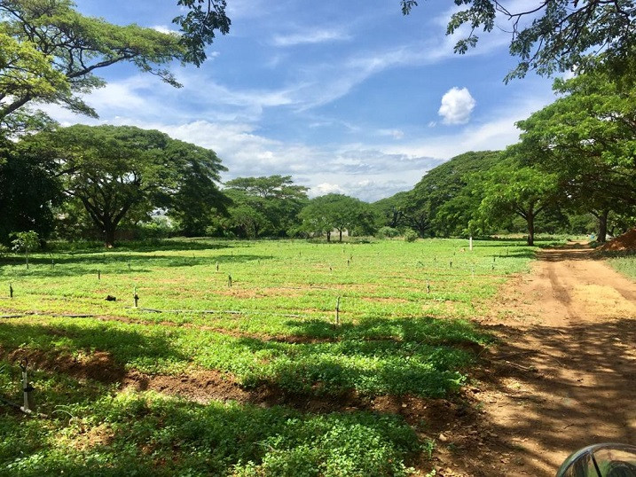 Lote EN VENTA EN Bocono, código: 10284170 - 3