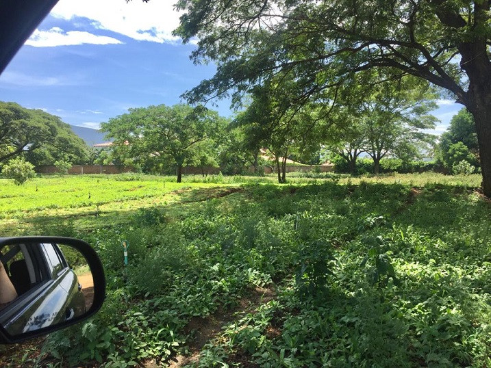 Lote EN VENTA EN Bocono, código: 10284170 - 7